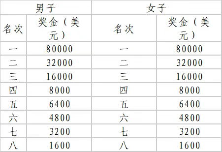 2025哈爾濱馬拉松(賽事規(guī)程)(5) 2025哈爾濱馬拉松(賽事規(guī)程)(5)