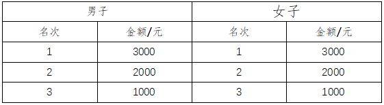 2025東莞松山湖科學城半程馬拉松獎金多少錢？（3）
