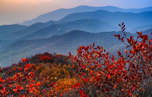 2025西山初冬徒步大會(賽事規(guī)程)（13）