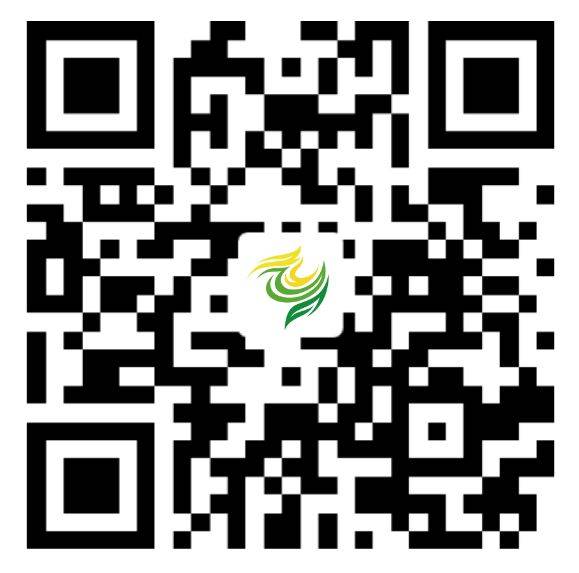 2025澄邁半程馬拉松領(lǐng)物須知（時(shí)間+地點(diǎn)+注意事項(xiàng)）（6）