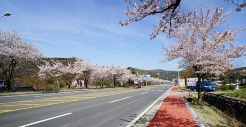 2026年慶州櫻花馬拉松(賽事規(guī)程)(2) 2026年慶州櫻花馬拉松(賽事規(guī)程)(2)