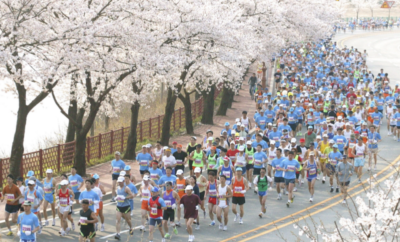 2026年慶州櫻花馬拉松(賽事規(guī)程)(3) 2026年慶州櫻花馬拉松(賽事規(guī)程)(3)